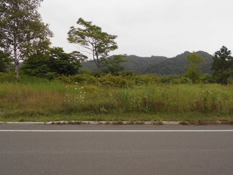 広々とした自然に囲まれた土地