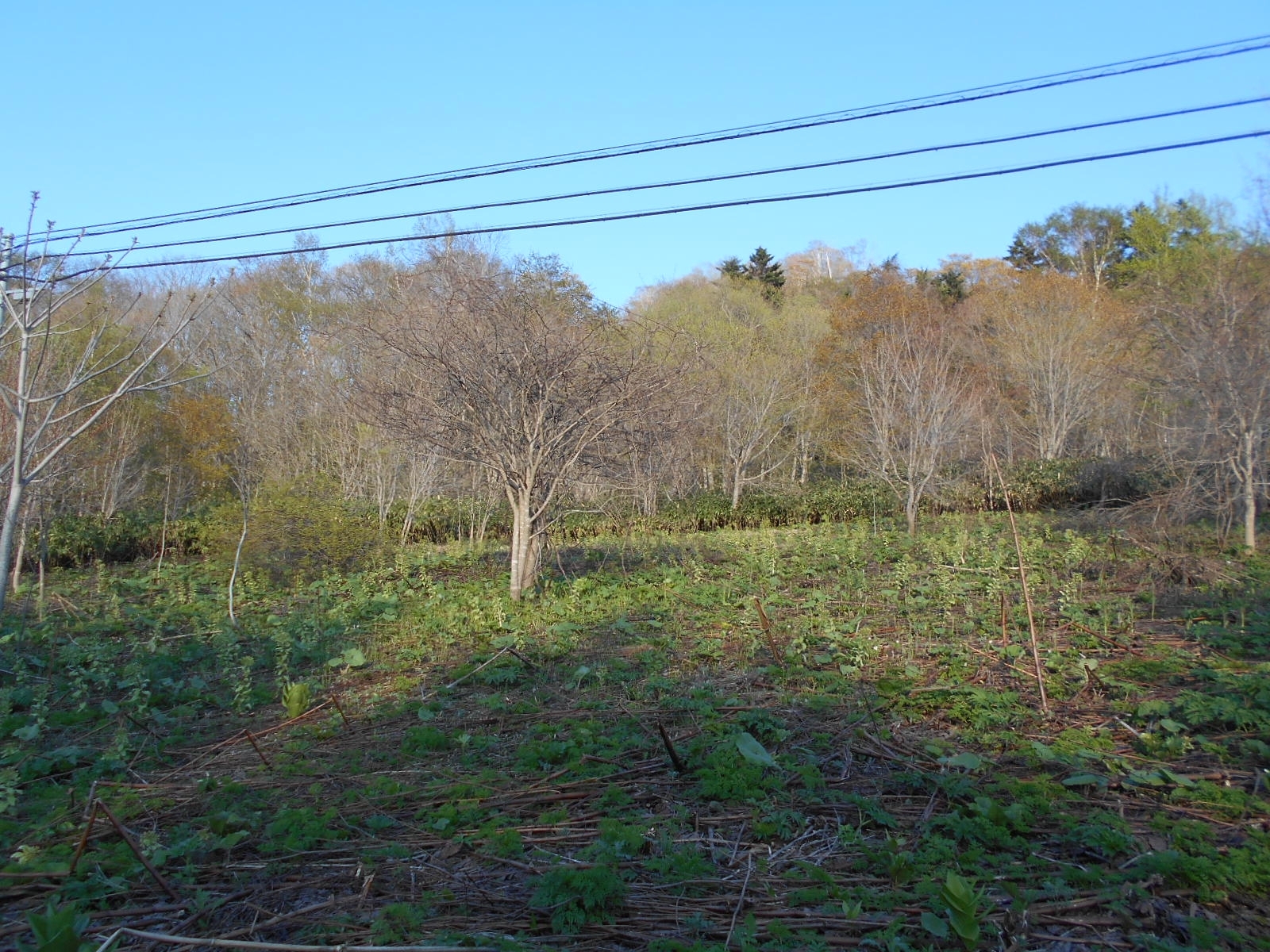 四季折々の風景を楽しめる土地