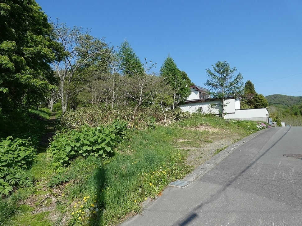 緑豊かな道路沿いの風景