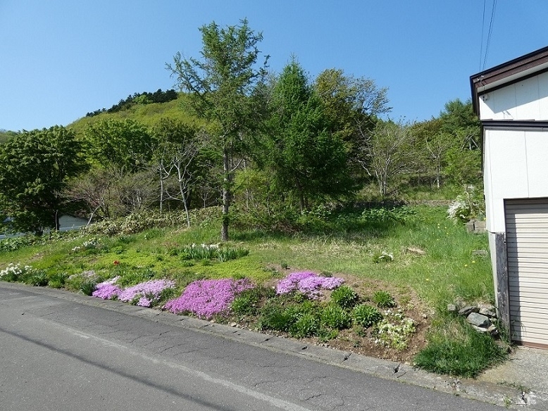 道路脇のカラフルな花壇