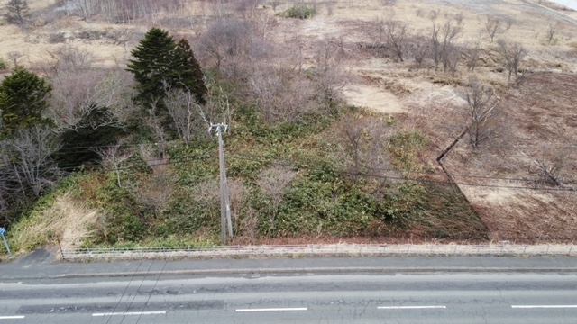 緑に囲まれた広大な土地