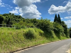 澄み渡る青空と広がる緑