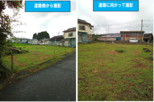 緑豊かな広大な敷地