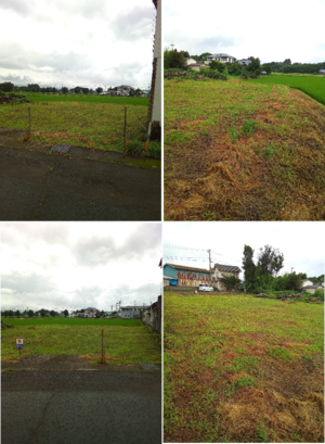 自然に囲まれた静かな土地