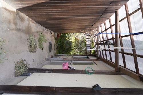 detached 大字平道