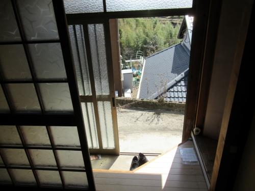 detached 大字平道