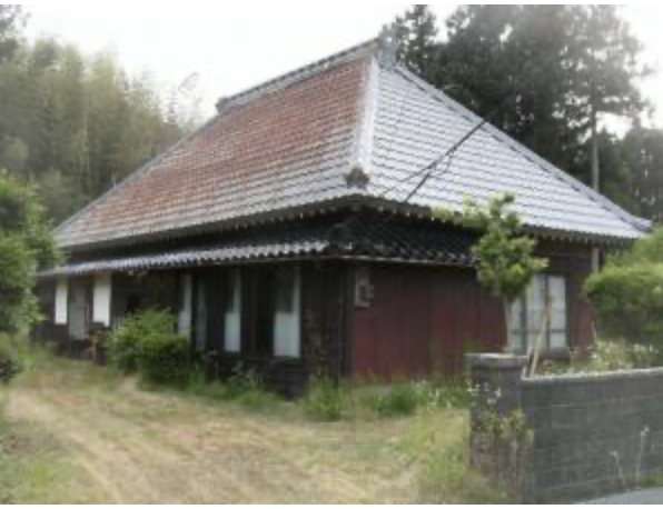detached 畑野