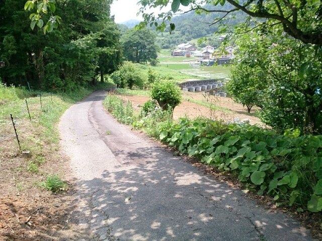 detached 立子山字鍛冶合内