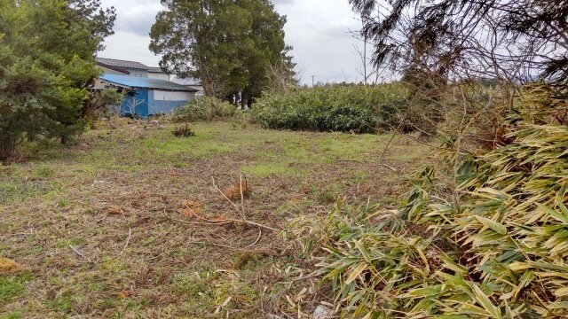 自給自足が楽しめる広大な畑