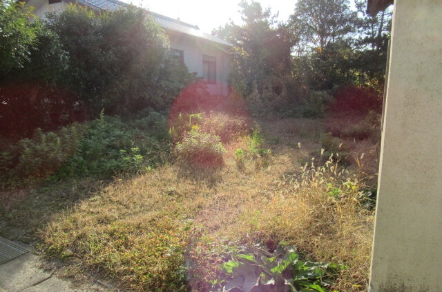 四季折々の草花が楽しめる庭