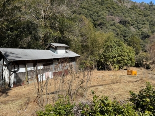 椎葉村_3