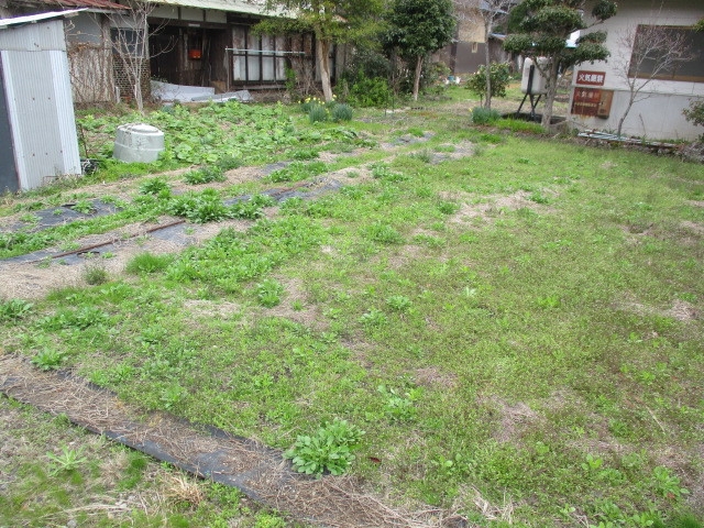 commercial 日高町名色字中筋