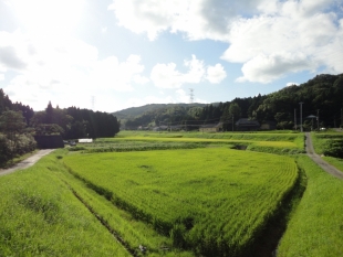 中能登町_1