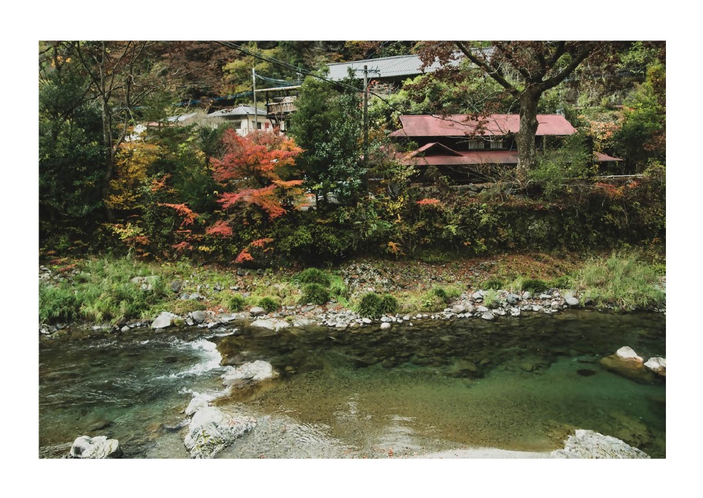 自然豊かな村の景観