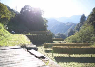 椎葉村_1