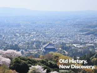 奈良市_3