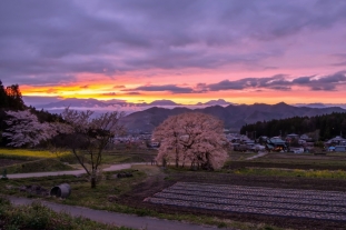 高山村_3