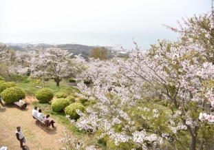 山陽小野田市_1