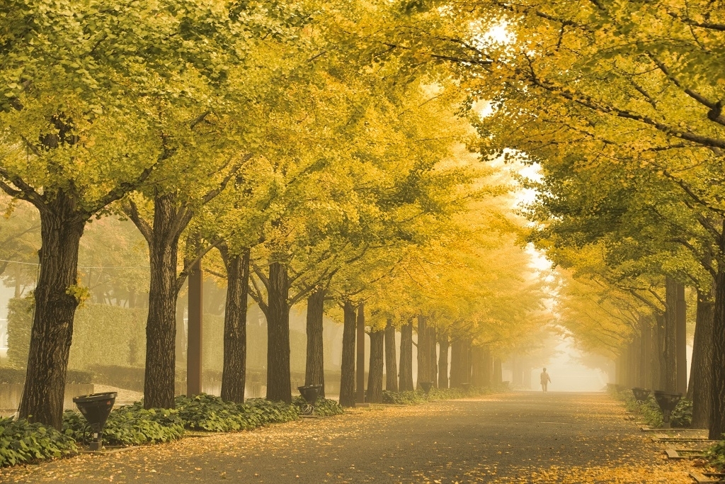 四季が彩る福島市